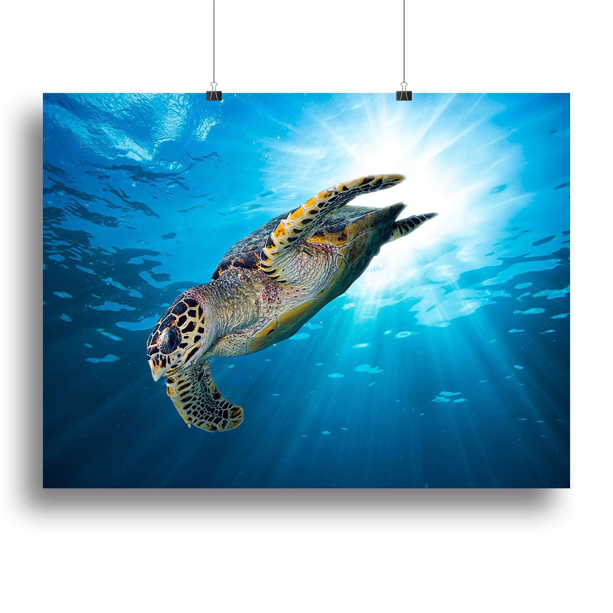 A vibrant Turtle Dive canvas print showcasing a majestic turtle swimming in clear blue waters, perfect for home decor.
