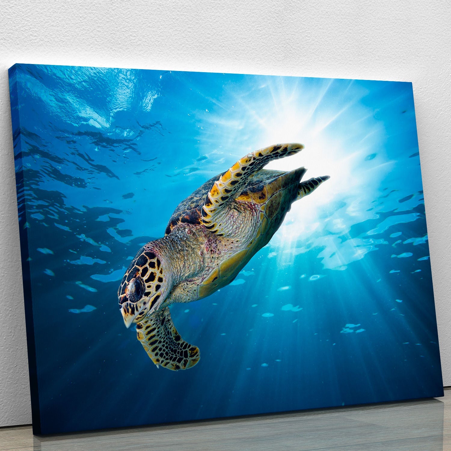 A vibrant Turtle Dive canvas print showcasing a majestic turtle swimming in clear blue waters, perfect for home decor.