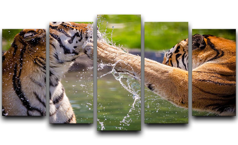 A vibrant 5-split panel canvas artwork featuring two adult tigers playfully splashing in water, showcasing their beauty and grace.