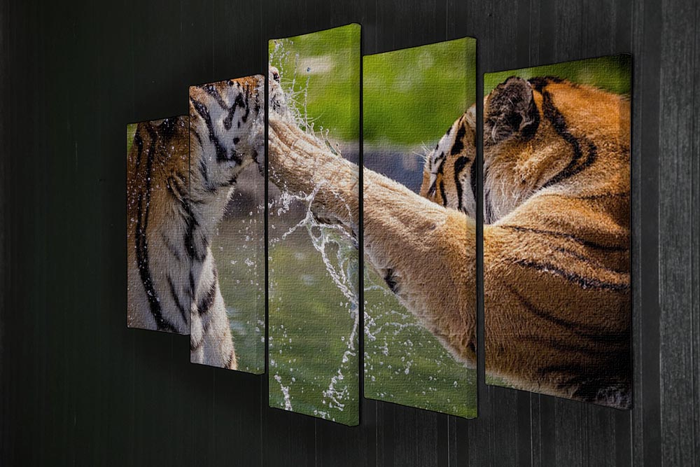 A vibrant 5-split panel canvas artwork featuring two adult tigers playfully splashing in water, showcasing their beauty and grace.