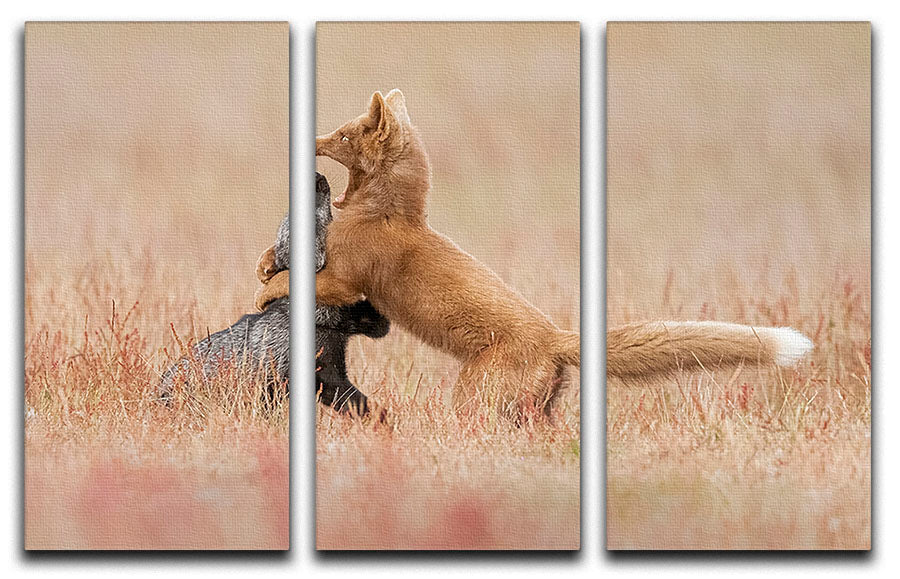Three-panel canvas print featuring two playful foxes in lush green grass, ideal for home decor.