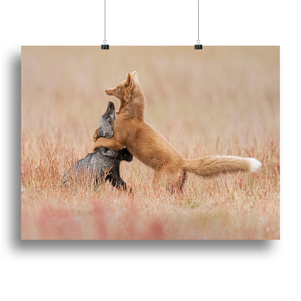 A vibrant canvas print featuring two playful foxes in a lush green grass setting, showcasing their lively nature and beauty.