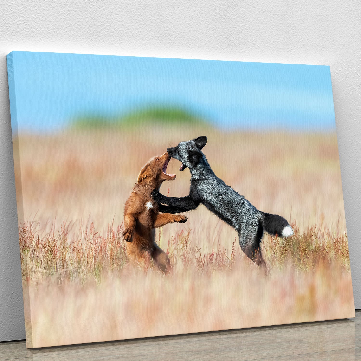 A vibrant canvas print featuring two foxes playfully wrestling in a natural setting, showcasing intricate details and colors.