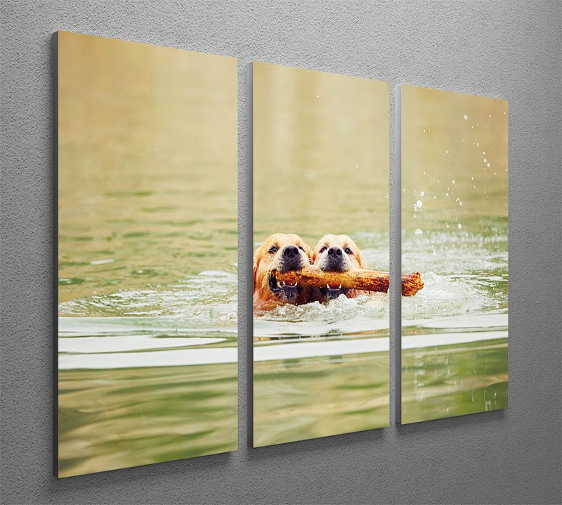 Three-panel canvas art featuring two golden retrievers swimming with a stick, showcasing vibrant colors and playful scene.