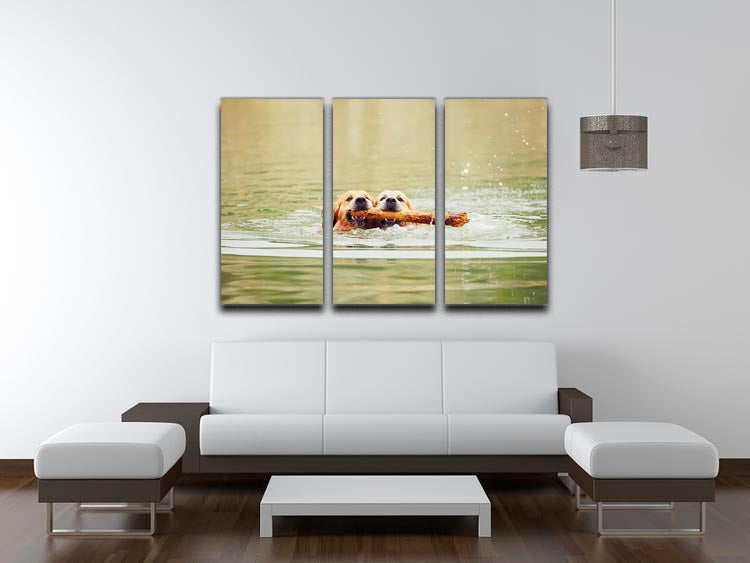 Three-panel canvas art featuring two golden retrievers swimming with a stick, showcasing vibrant colors and playful scene.