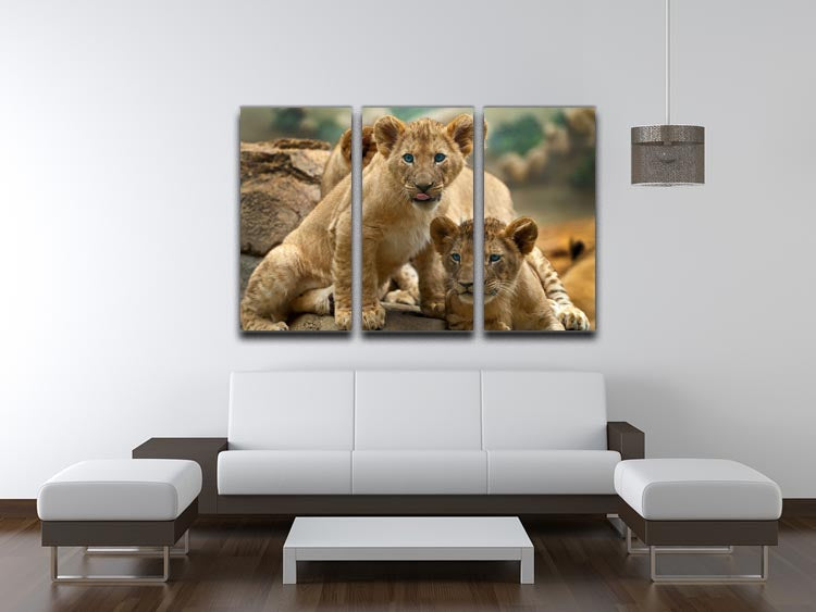 Three-panel canvas print featuring two adorable lion cubs looking curiously at something, perfect for home decor.