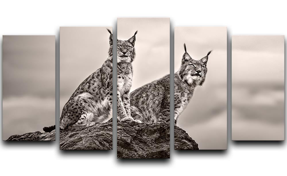A captivating artwork featuring two lynx on a rock, displayed in a 5-split canvas format, enhancing any interior decor.