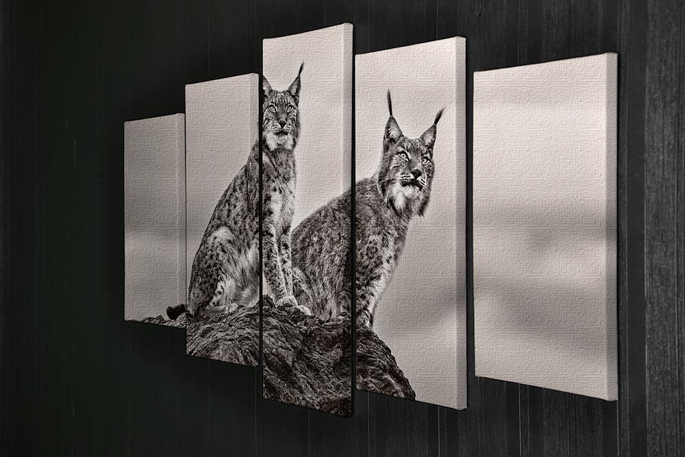 A captivating artwork featuring two lynx on a rock, displayed in a 5-split canvas format, enhancing any interior decor.