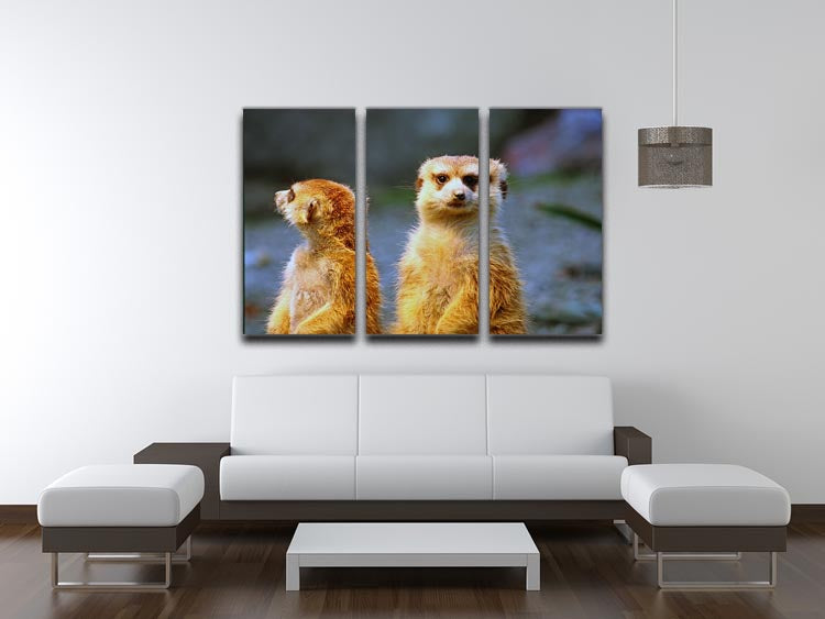 Three-panel canvas art featuring two meerkats watching over their family in a zoo setting, showcasing vibrant colors and intricate details.