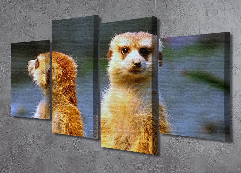 A 4-split canvas artwork featuring two meerkats watching over their family in a zoo setting, showcasing vibrant colors and intricate details.