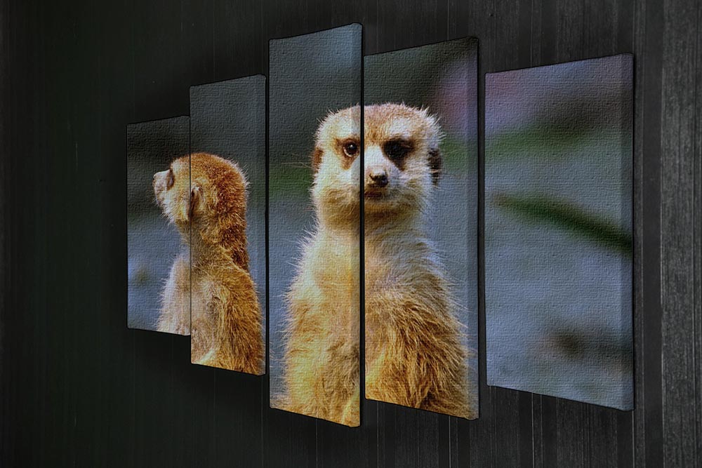 A beautiful 5-panel canvas artwork featuring two meerkats watching over their family in a zoo setting, showcasing vibrant colors and intricate details.