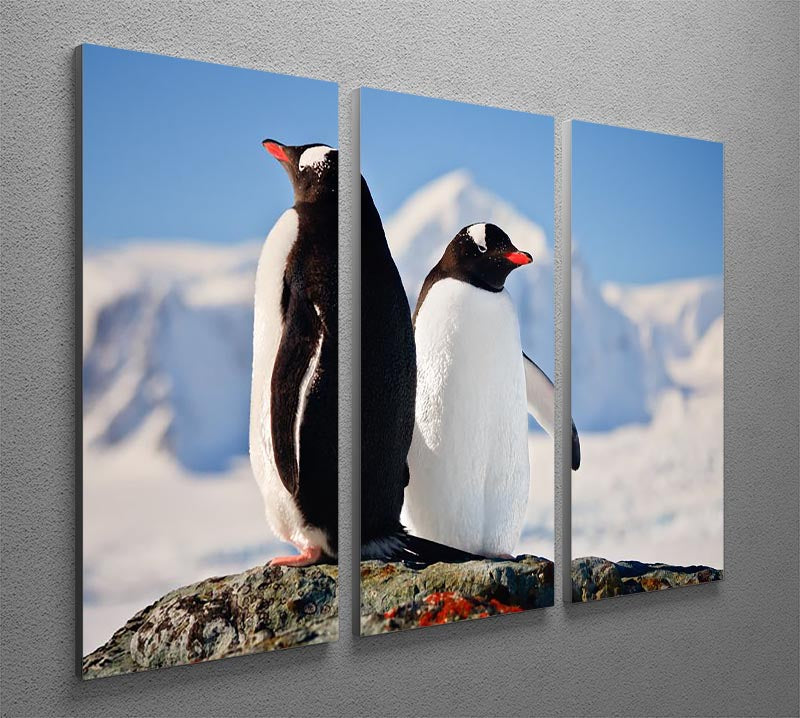 Three-panel canvas print featuring two penguins dreaming on a rock, ideal for home decor.