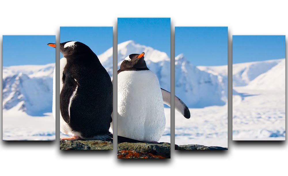 A beautiful 5-split canvas artwork featuring two penguins dreaming together on a rock, creating a serene and charming atmosphere.