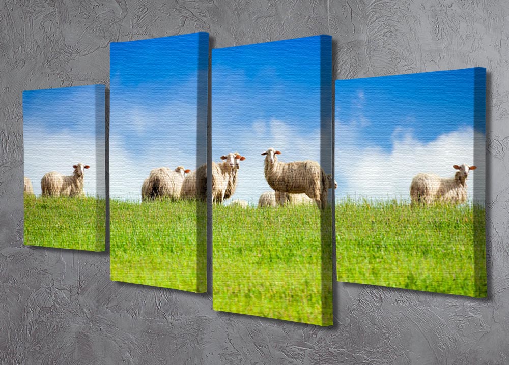 A beautiful 4-split canvas artwork featuring two sheep looking at the camera, surrounded by a herd, showcasing a serene and captivating scene.