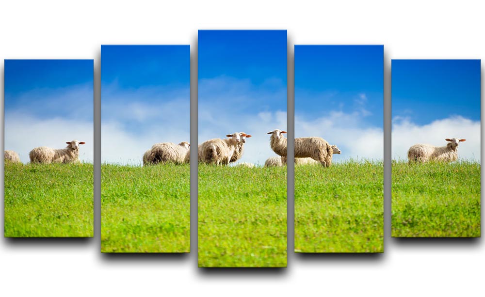 A 5-split canvas artwork featuring two sheep looking at the camera, surrounded by a herd, showcasing a charming pastoral scene.