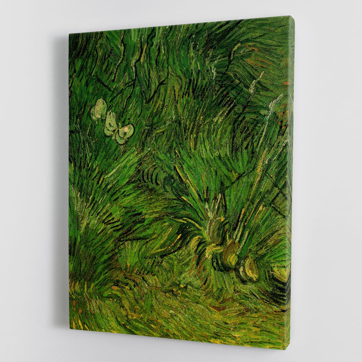 Canvas print of Two White Butterflies by Van Gogh, showcasing delicate butterflies on a textured background, perfect for home decor.