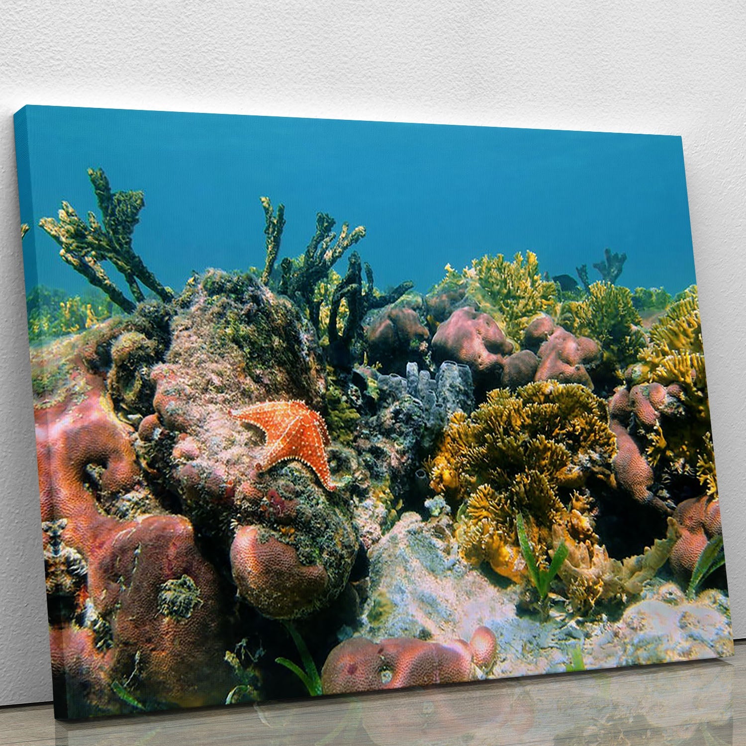 A vibrant underwater reef scene featuring colorful corals and sponges in the Caribbean Sea, perfect for home decor.