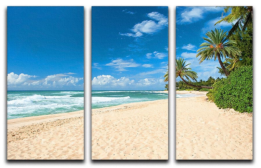 A stunning 3-panel canvas print depicting an untouched sandy beach with palm trees, perfect for home decor.