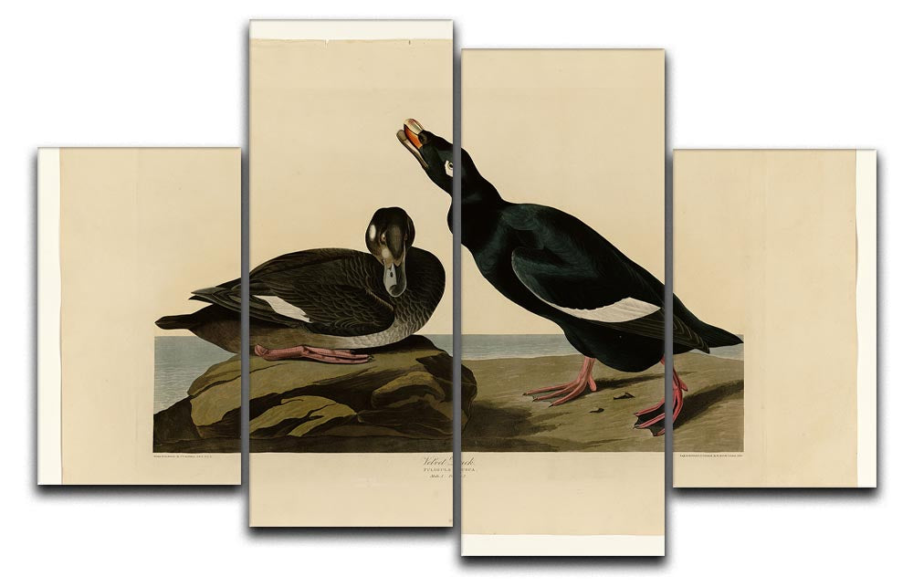 A vibrant 4-split canvas artwork featuring a beautifully detailed velvet duck, showcasing dynamic colors and textures.