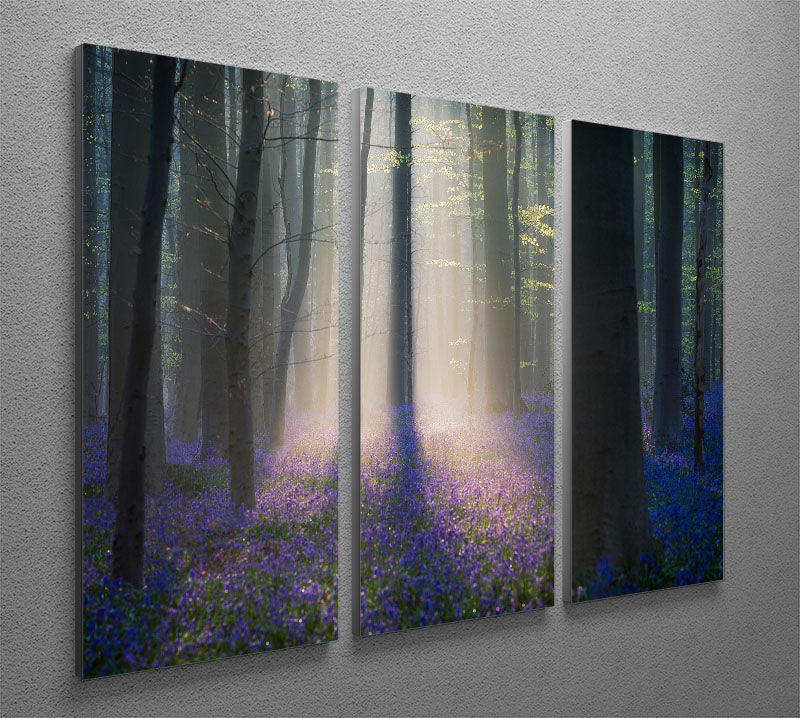 Velvet Light 3 Split Panel Canvas Print showcasing elegant design and vibrant colors, perfect for home decor.