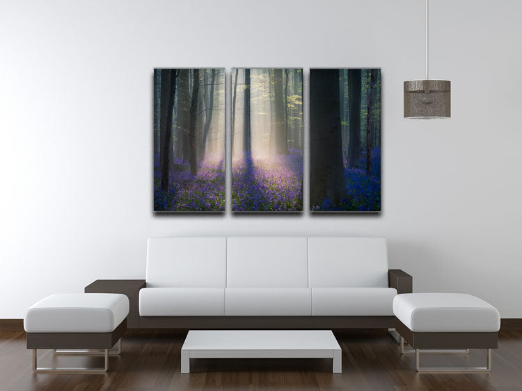 Velvet Light 3 Split Panel Canvas Print showcasing elegant design and vibrant colors, perfect for home decor.