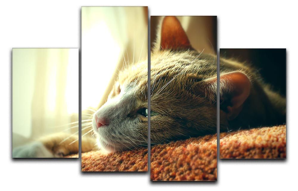 A 4-split canvas artwork featuring a very sad red cat, divided into four panels, creating a cohesive and emotional display.