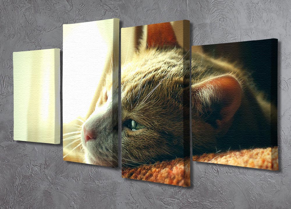 A 4-split canvas artwork featuring a very sad red cat, divided into four panels, creating a cohesive and emotional display.
