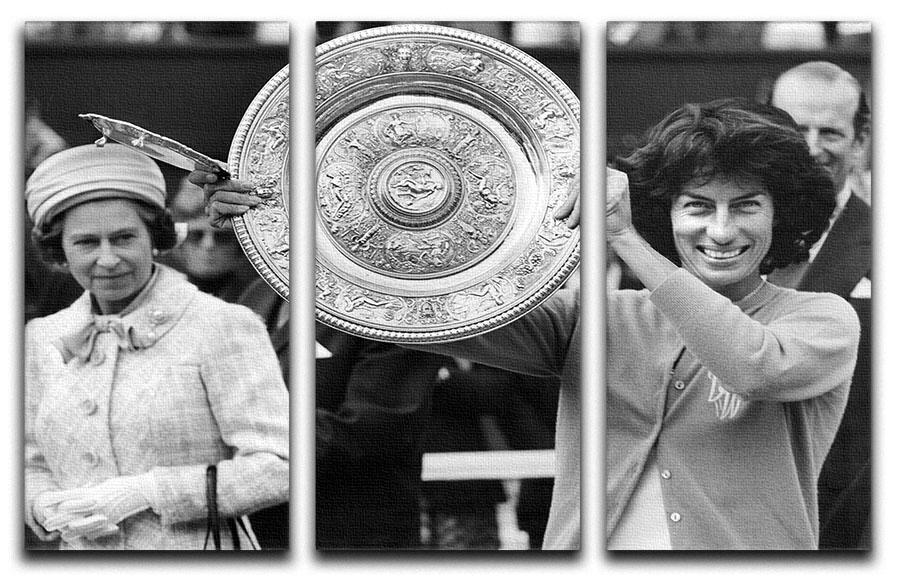 Virginia Wade tennis player 3-panel canvas print showcasing vibrant colors and dynamic design, perfect for home or office decor.