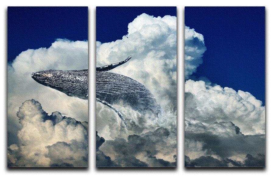 Wale Sky 3 Split Panel Canvas Print featuring three high-quality canvases with a cohesive design, perfect for enhancing home decor.