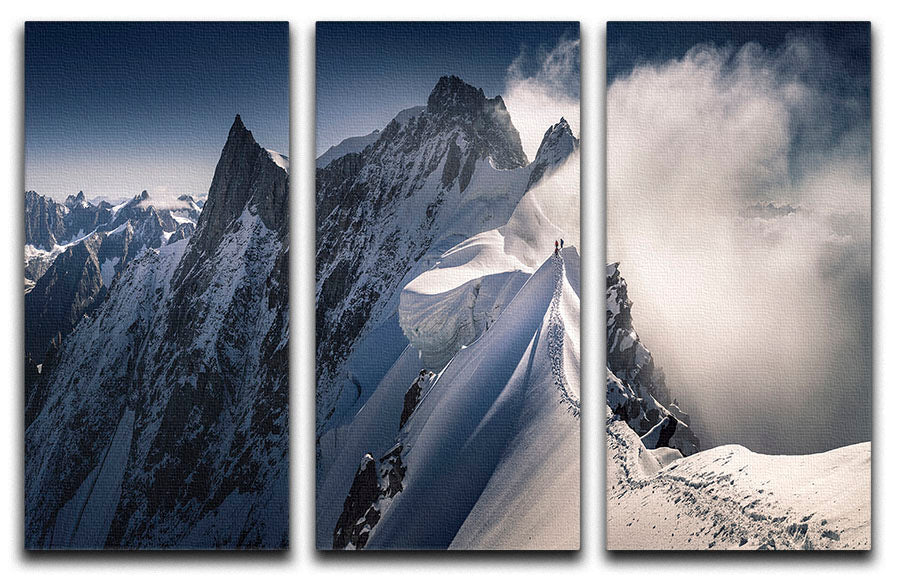 Three-panel canvas print featuring abstract design, enhancing modern decor.