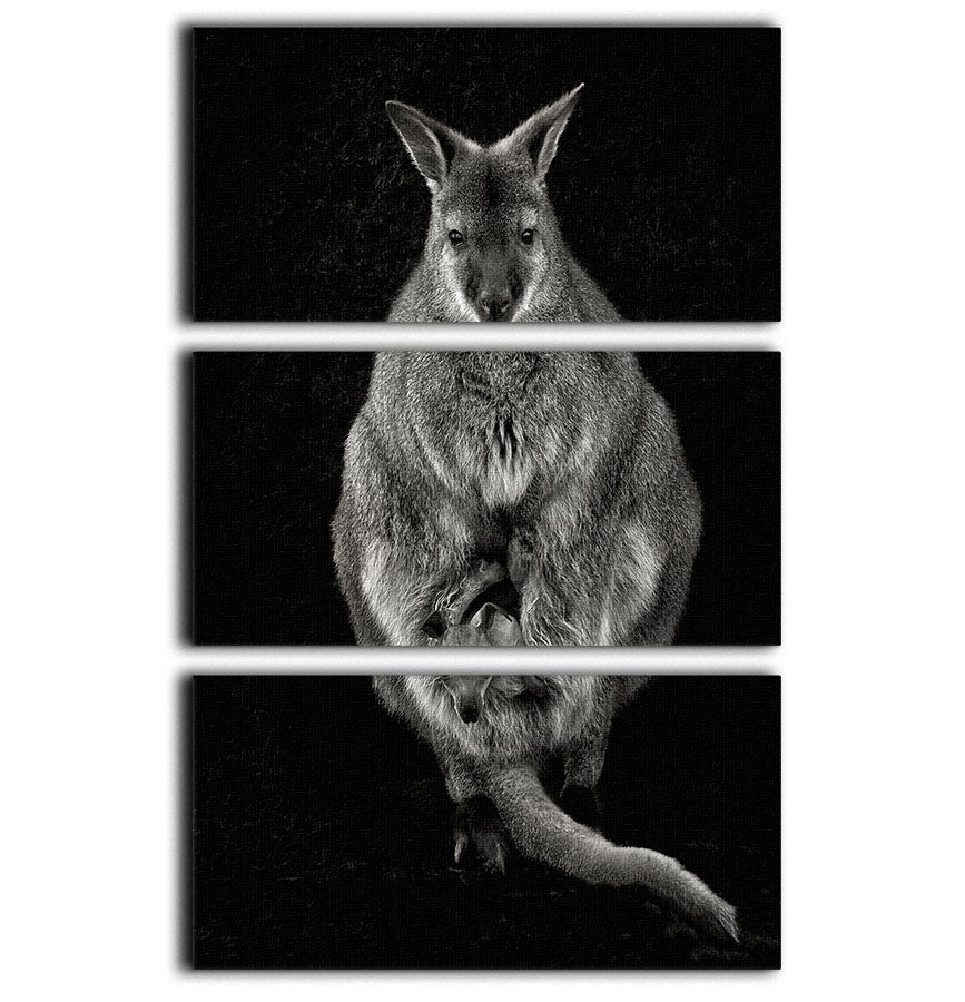 A stunning 3-panel canvas print featuring vibrant colors and captivating designs, perfect for enhancing any living space.