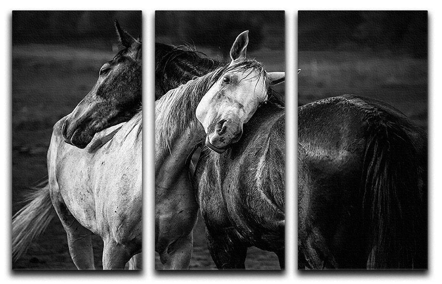 Warm Rain 3 Split Panel Canvas Print featuring three panels with a cohesive design, ideal for home or office decor.