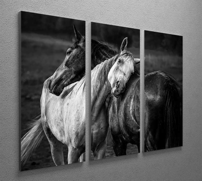 Warm Rain 3 Split Panel Canvas Print featuring three panels with a cohesive design, ideal for home or office decor.