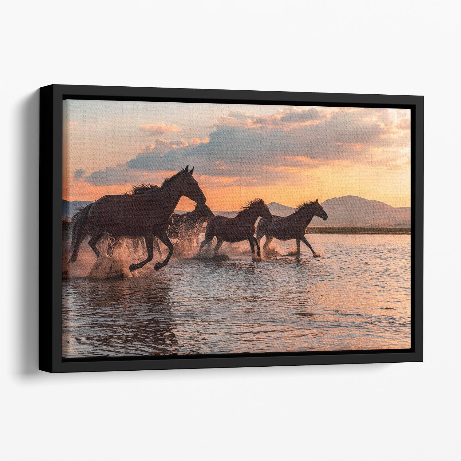WATER HORSES Floating Framed Canvas featuring vibrant abstract design in an elegant wooden frame.