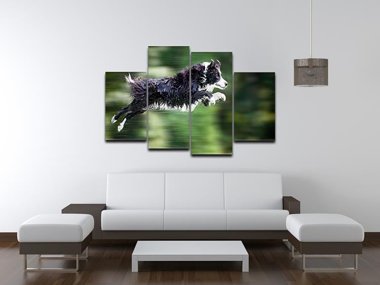 A vibrant 4-split canvas artwork featuring a wet border collie dog captured midair, showcasing dynamic movement and energy.