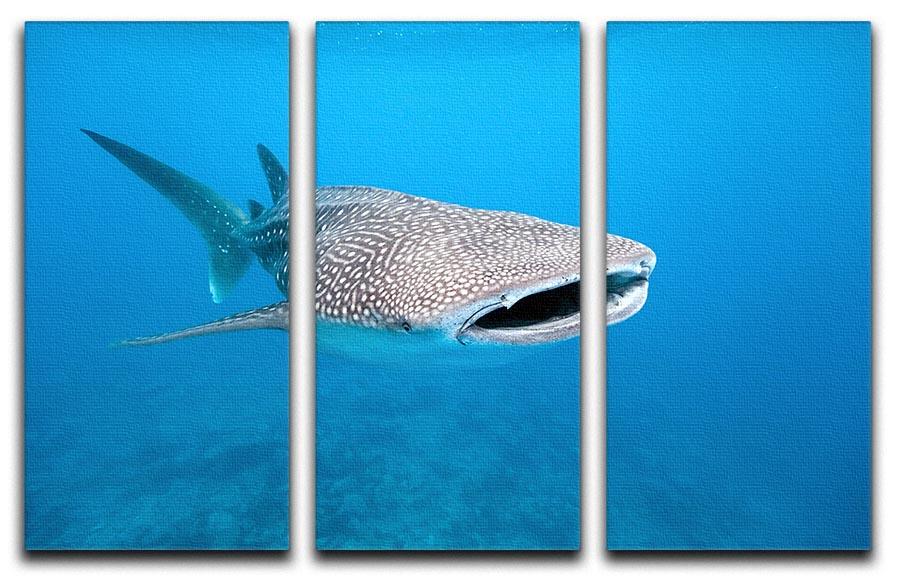 Whale Shark 3 Split Panel Canvas Print showcasing vibrant ocean colors and intricate details across three panels.