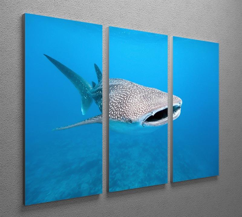 Whale Shark 3 Split Panel Canvas Print showcasing vibrant ocean colors and intricate details across three panels.