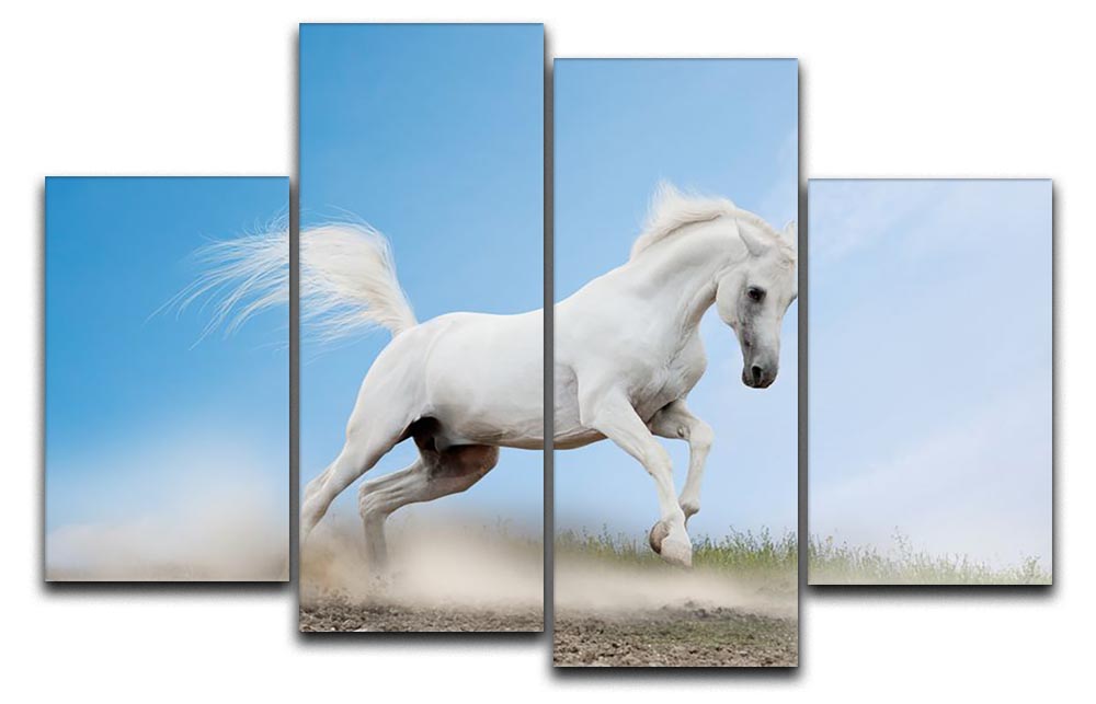 A beautiful 4-split canvas artwork featuring a white Arabian horse, showcasing elegance and grace across four panels.