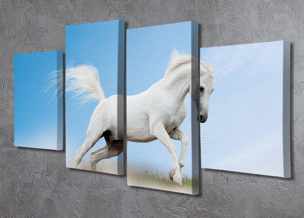 A beautiful 4-split canvas artwork featuring a white Arabian horse, showcasing elegance and grace across four panels.