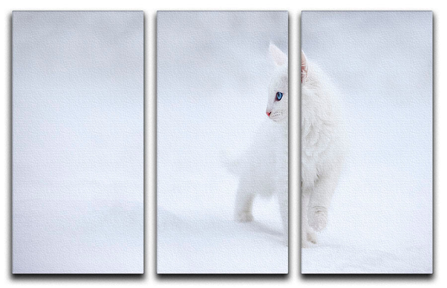 White as Snow 3 Split Panel Canvas Print showcasing elegant design and high-quality finish, perfect for home decor.