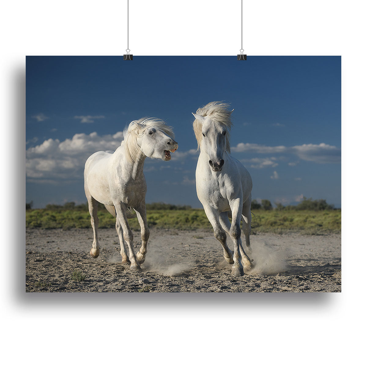 A beautiful canvas print of White Beach Horses, showcasing serene horses on a sandy beach with waves in the background.