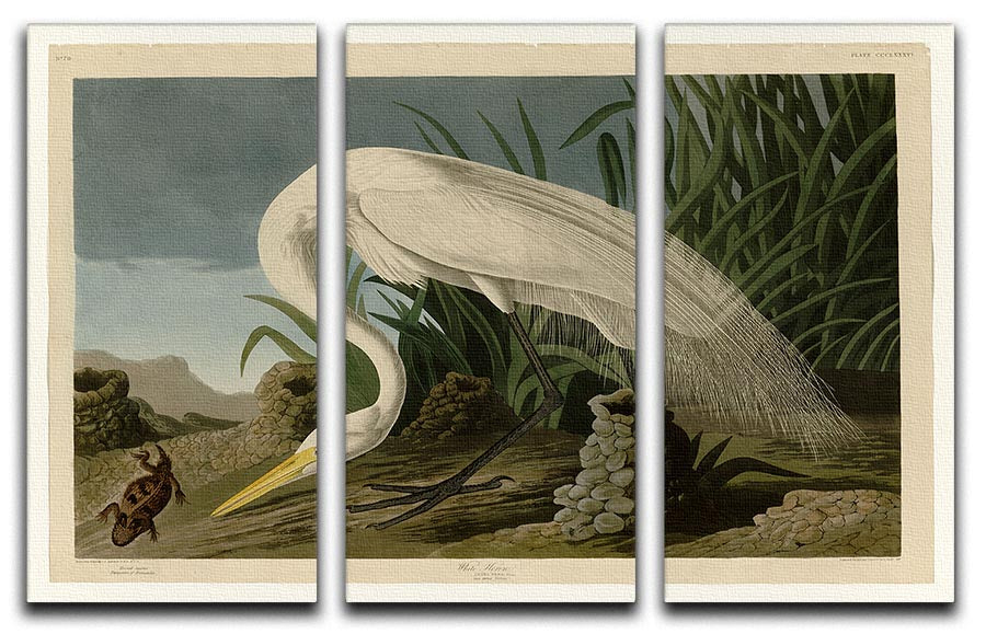 Three-panel canvas print featuring a beautiful White Heron in a serene natural setting, ideal for home decor.
