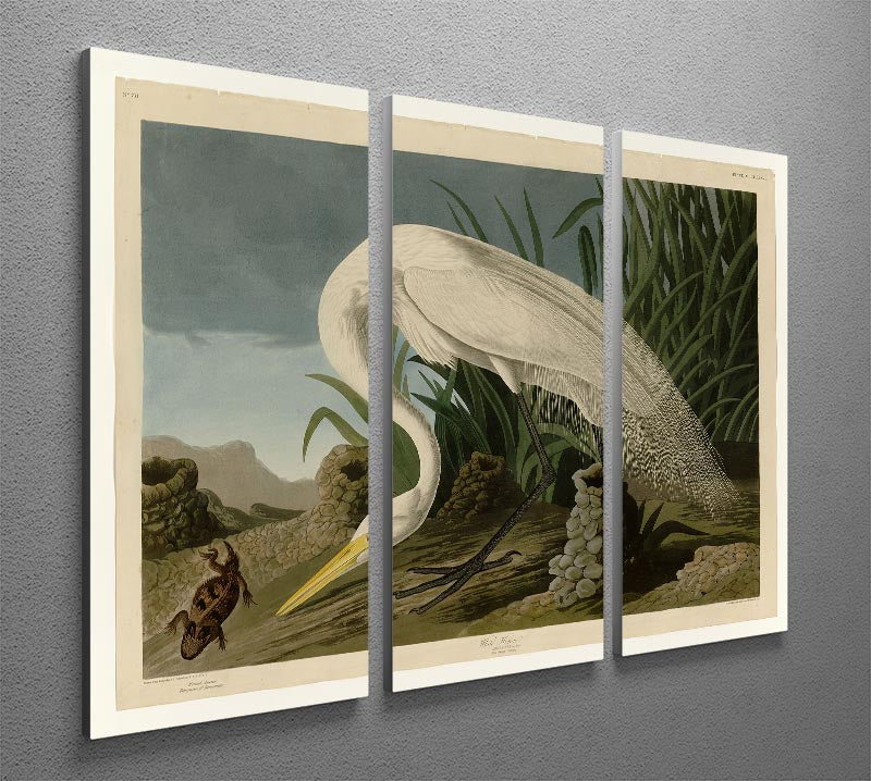 Three-panel canvas print featuring a beautiful White Heron in a serene natural setting, ideal for home decor.