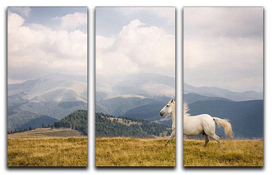 A beautiful 3-panel canvas print featuring a white horse, enhancing interior decor with elegance.