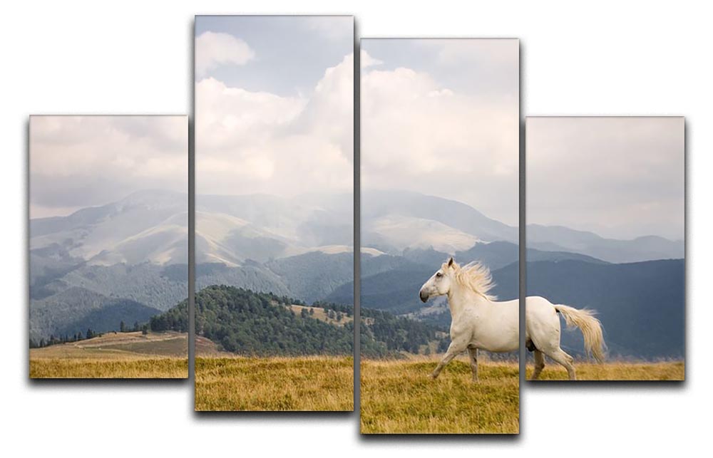 A beautiful 4-split canvas artwork featuring a majestic white horse, creating a dynamic and elegant display.