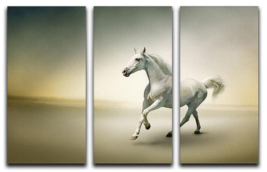 A stunning 3-panel canvas print featuring a white horse in motion, showcasing elegance and dynamic movement.