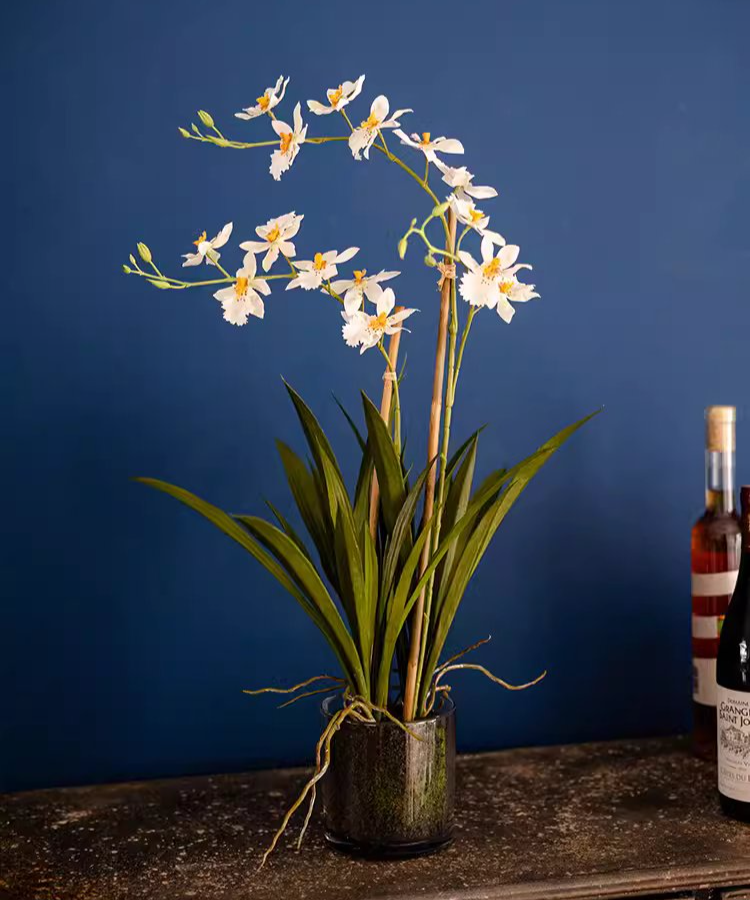 A beautiful White Hui Lan Orchid in a stylish glass pot, showcasing realistic silk petals and lush green leaves.