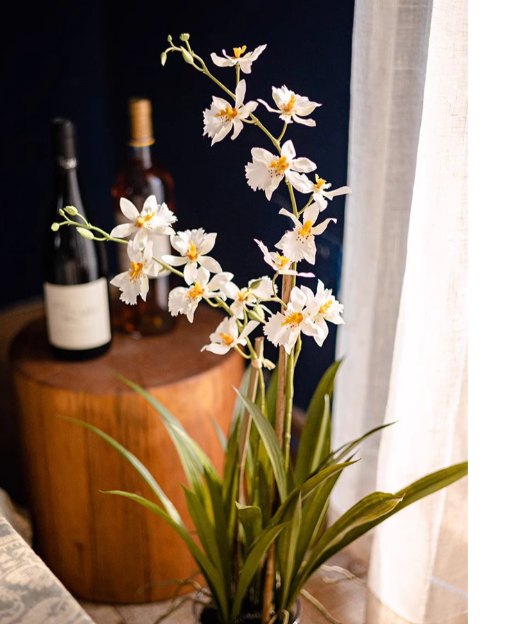 A beautiful White Hui Lan Orchid in a stylish glass pot, showcasing realistic silk petals and lush green leaves.
