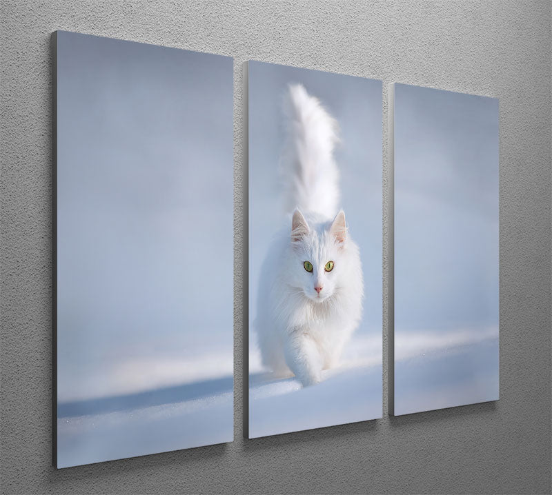 A charming white kitten running playfully in a snowy landscape, depicted in a stunning 3-panel canvas print.