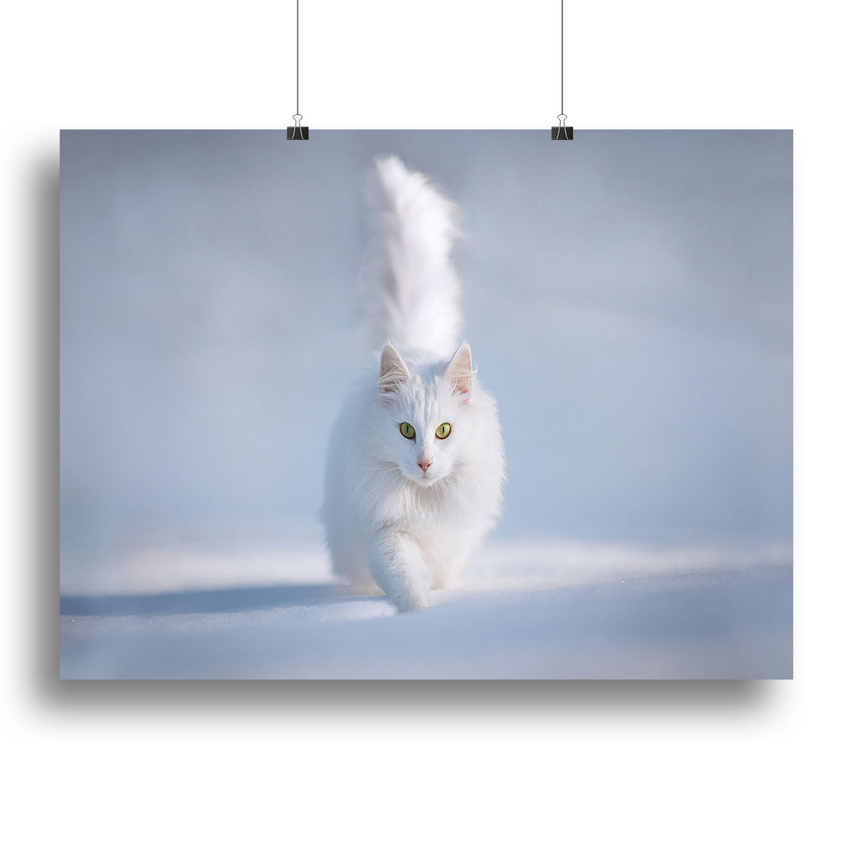 A charming white kitten playfully running in a snowy landscape, captured in a vibrant canvas print.